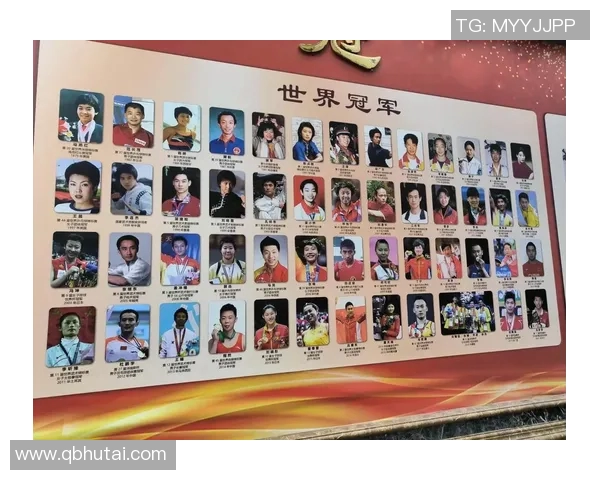 体育明星的奋斗历程与成就背后的故事与启示