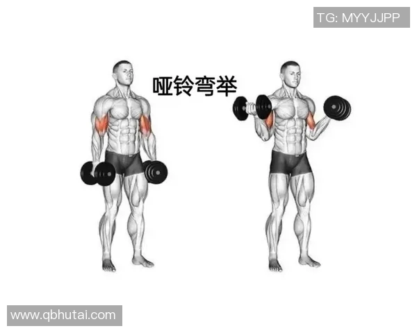提升力量与耐力的最佳选择20斤哑铃助你塑造完美身材与健康生活